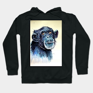 Chimpanzee Hoodie